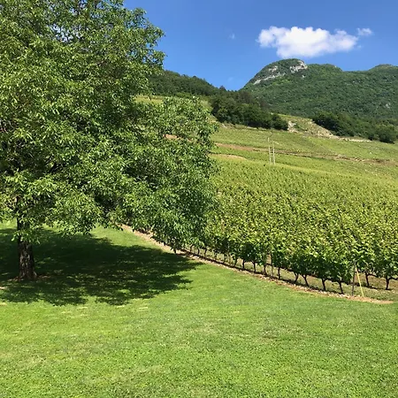 La Chardonnay - Chateau De La Mar Dom wakacyjny